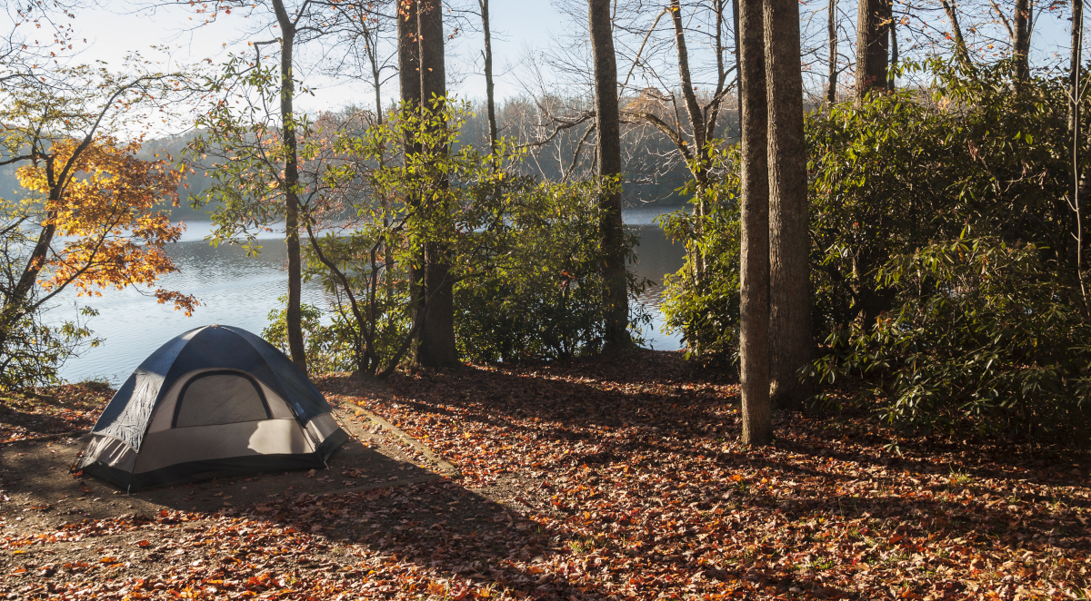 namiot las jezioro camping 1200.jpg
