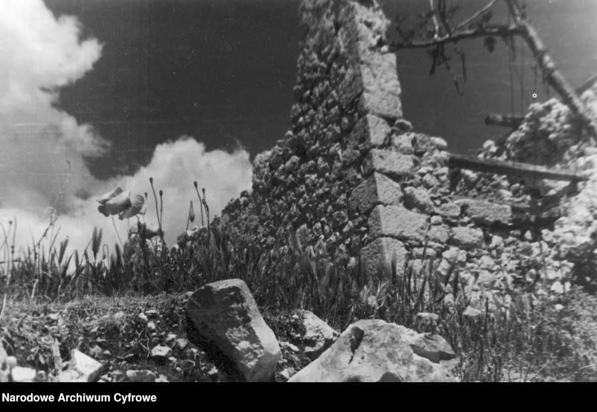 Maki wśród ruin klasztoru na Monte Cassino. Fot. NAC