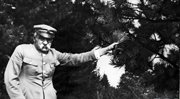 Józef Piłsudski stoi przy drzewie iglastym. Moszczanica, wrzesień 1934