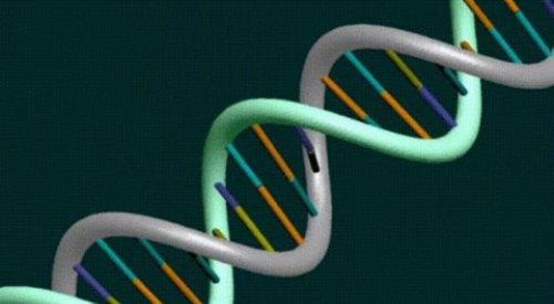 Spirala DNA