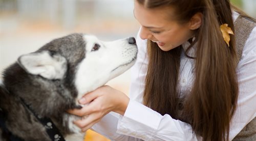 Schroniskowe psy cierpią na brak bliskości z człowiekiem