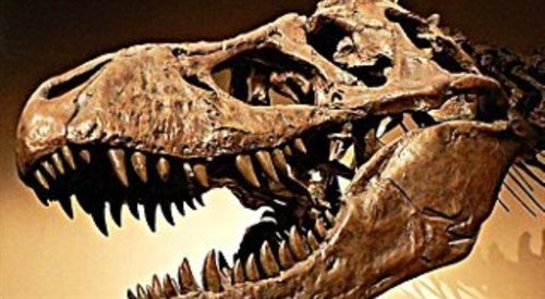 Dinozaur T-rex