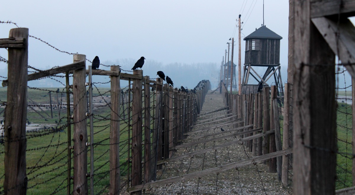 Obóz koncentracyjny free majdanek shutt-1200.jpg