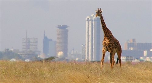 Okolice Nairobi, gdzie natura zderza się z cywilizacją, to znakomite warunki, by uczyć się fotografowania