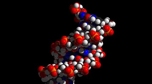 Model łańcucha DNA