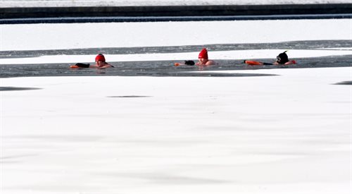 II Krakowski Spływ Morsów - amatorzy lodowatych kąpieli przepłynęli ok. 2 km przy odczuwalnej temperaturze -15 st. C