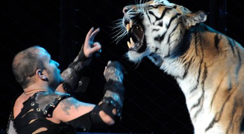 Rosyjski treser z tygrysem podczas występu na festiwalu cyrkowym w Chinach