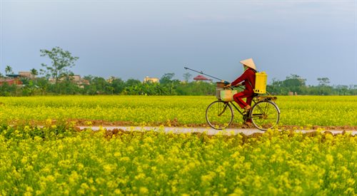 W Czwórce przecieramy rowerowe szlaki Wietnamu i Chin (zdjęcie ilustracyjne)