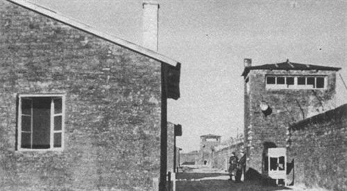 Baraki i wieże strażnicze KL Warschau. Zdjęcie wykonane po zdobyciu obozu przez żołnierzy batalionu Zośka