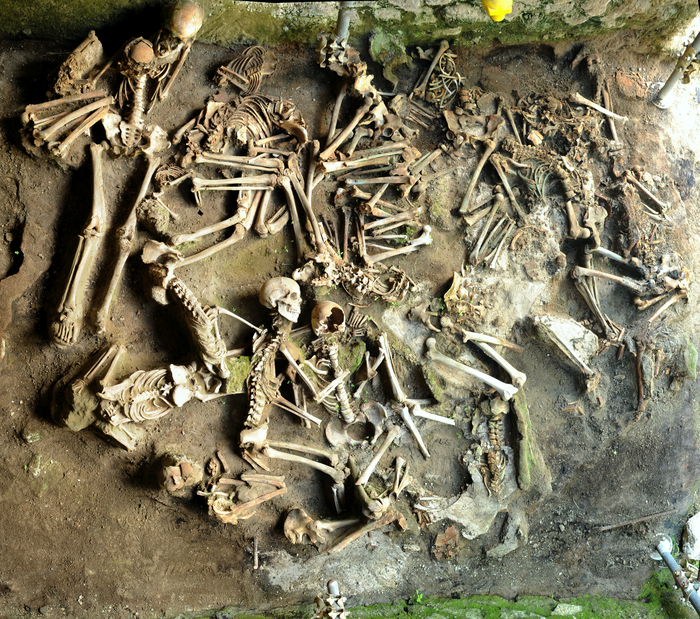 Szczątki ofiar erupcji Wezuwiusza w Herkulanum. Fot.: EurekaAlert!/dr Luciano Fattore
