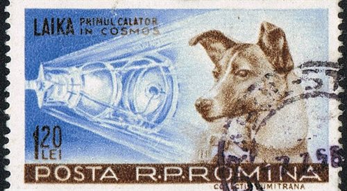 Rumuński znaczek pocztowy z Łajką, psem, który poleciał w kosmos, aut. Neozoon (2009), Wikipediadp