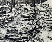 Ekshumacje w Katyniu w  1943 roku