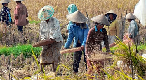 W Tajlandii światozmieniacze połączyli farmerów z organicznych farm z potencjalnymi klientami