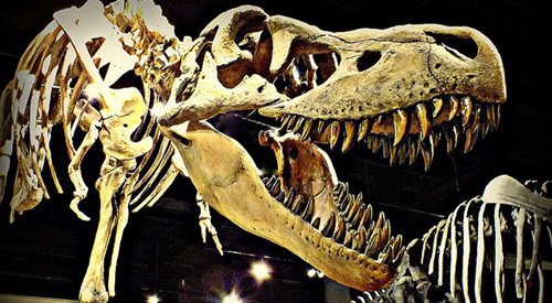 W Chile odkryto nieznanego dinozaura