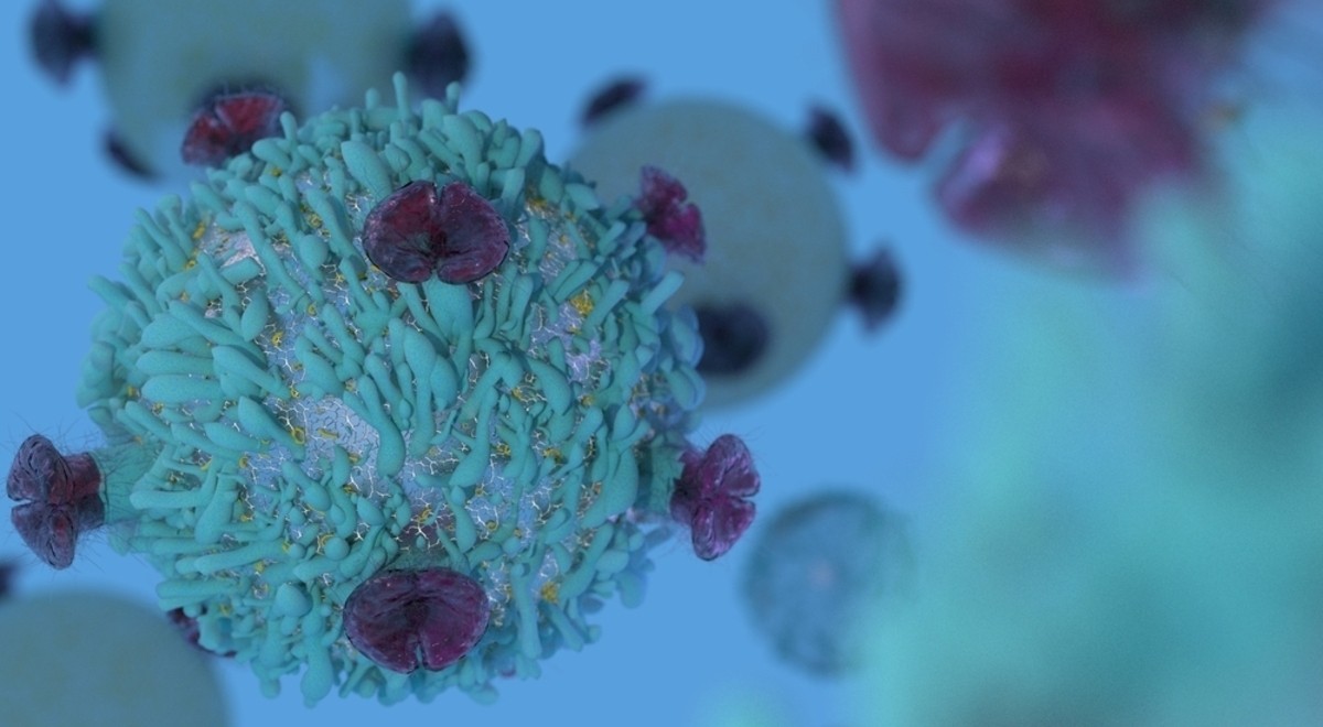 Czy komórki nowotworowe są nieśmiertelne? Foto: CI Photos/ Shutterstock
