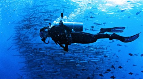 Nurkowanie tyleż piękna, co niebezpieczna pasja - przyznaje Nuno Gomes, rekordzista świata w nurkowaniu głębinowym