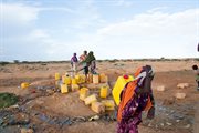 Autonomiczny stan Puntland w Somalii, gdzie Polska Akcja Humanitarna prowadzi działania. 