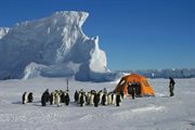 Badania na Antarktydzie