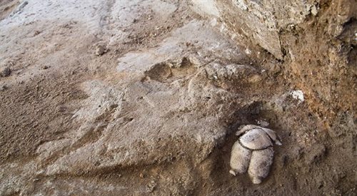 Odkryte przez polskich archeologów figurki są wyjątkowe