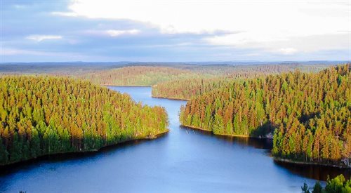 Wielu słuchaczy odnajduje w muzyce Jeana Sibeliusa surowe piękno fińskiego krajobrazu