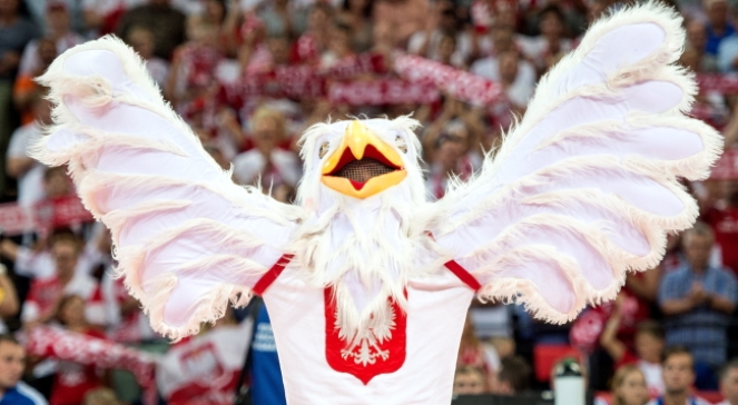 Polski orzeł na meczu siatkarzy