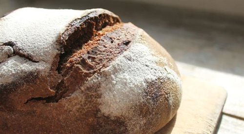 Zakwas - początek dobrego chleba