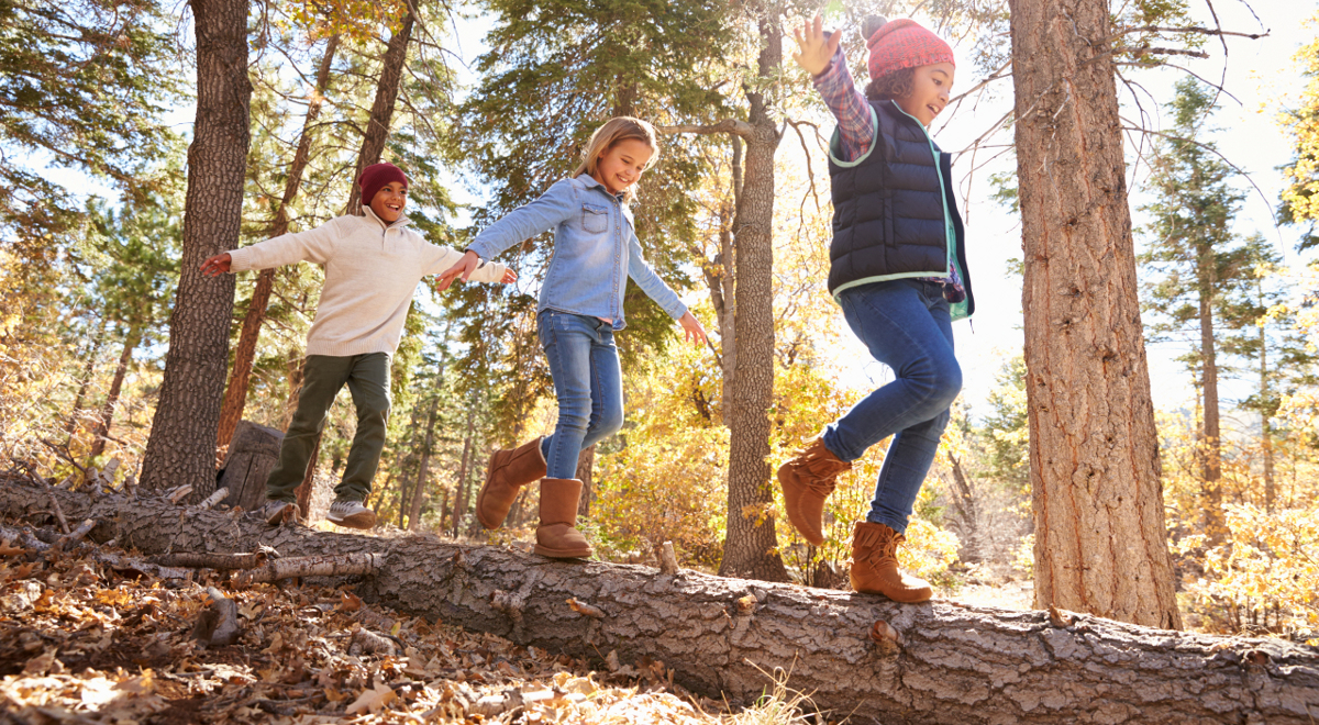 dzieci zabawa spacer jesień las 1200.jpg
