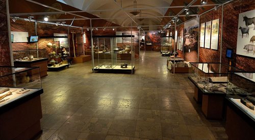Wnętrze Państwowego Muzeum Archeologicznego w Warszawie