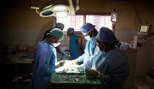 Naukowcy i lekarze walczący z epidemią eboli w zachodniej Afryce zyskali potężnego sprzymierzeńca