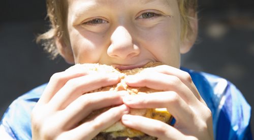 Jakie składniki znajdują się w  popularnych hamburgerach, które - jak głoszą hasła reklamowe - zawierają 100 proc. mięsa?
