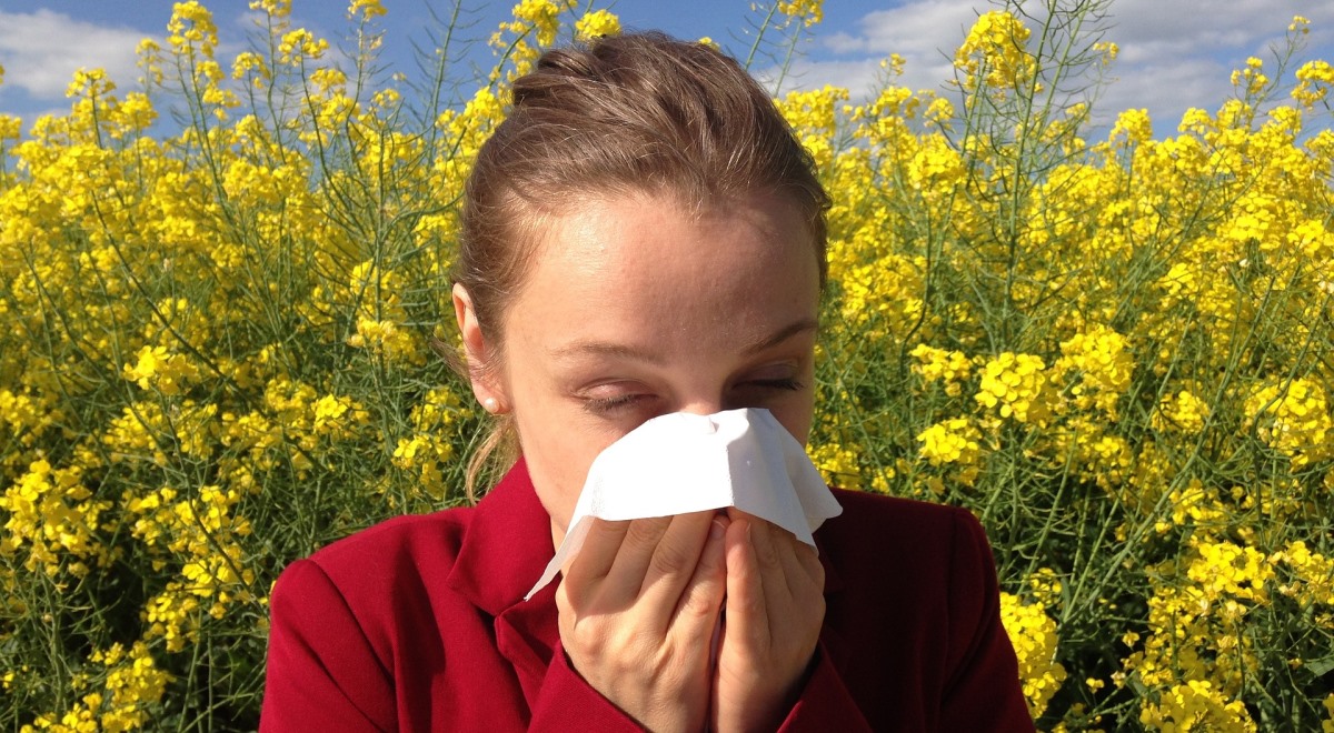 alergia uczulenie pyłki katar 1200.jpg