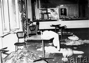 Zdemolowana stołówka w budynku KW PZPR. Radom, 25 czerwca 1976 
