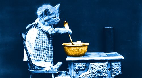 Być może w 2017 r. nie będą dla nas gotować koty, lecz i tak może być to rok kulinarnych niespodzianek (zdj. ilustracyjne)