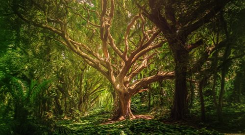 Drzewa zawsze były ważnym motywem w wierzeniach, mitach i legendach.