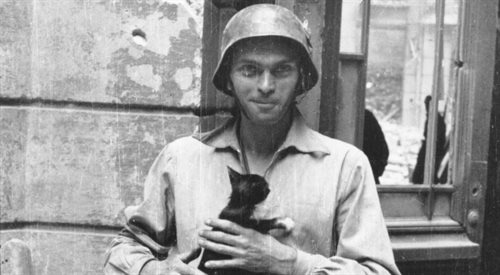 Eugeniusz Lokajski ps. Brok pozuje z kotem w czasie Powstania Warszawskiego, wrzesień 1944