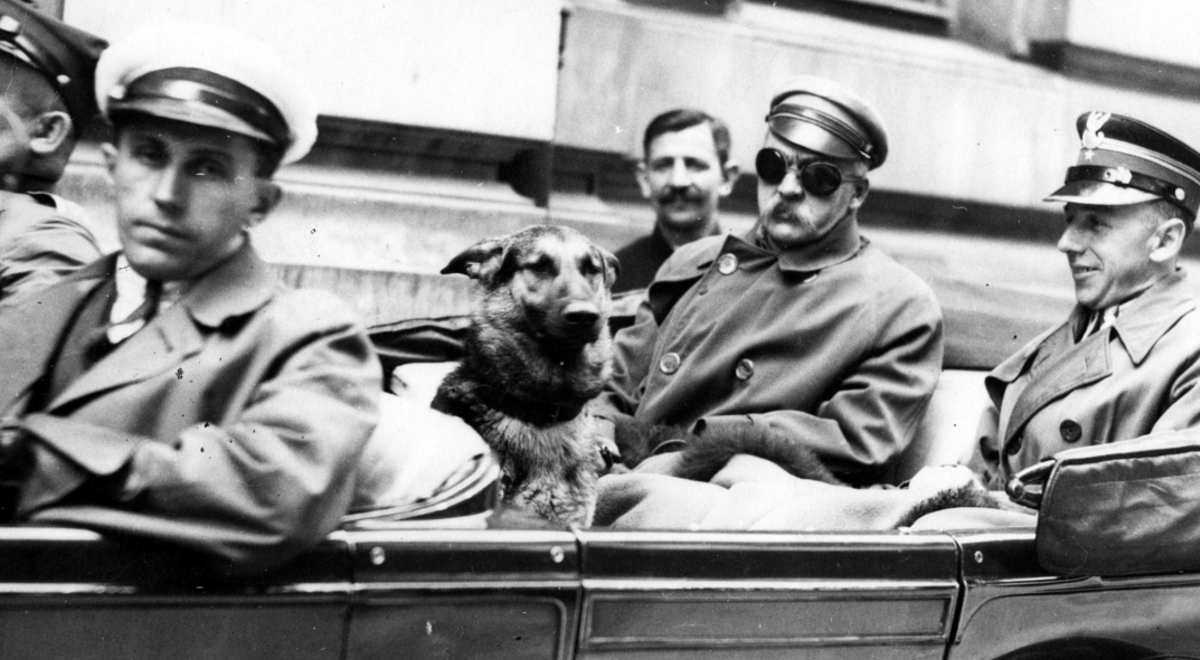 Piłsudski i pies 1200 NAC.png