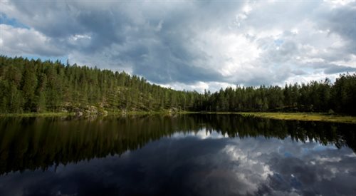 Jean Sibelius to fiński kompozytor narodowy. Czy w jego muzyce odnaleźć można echa niezwykłych krajobrazów ojczyzny?