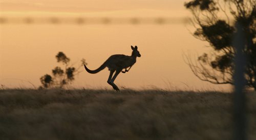 Australia - jak przeżyć na końcu świata?