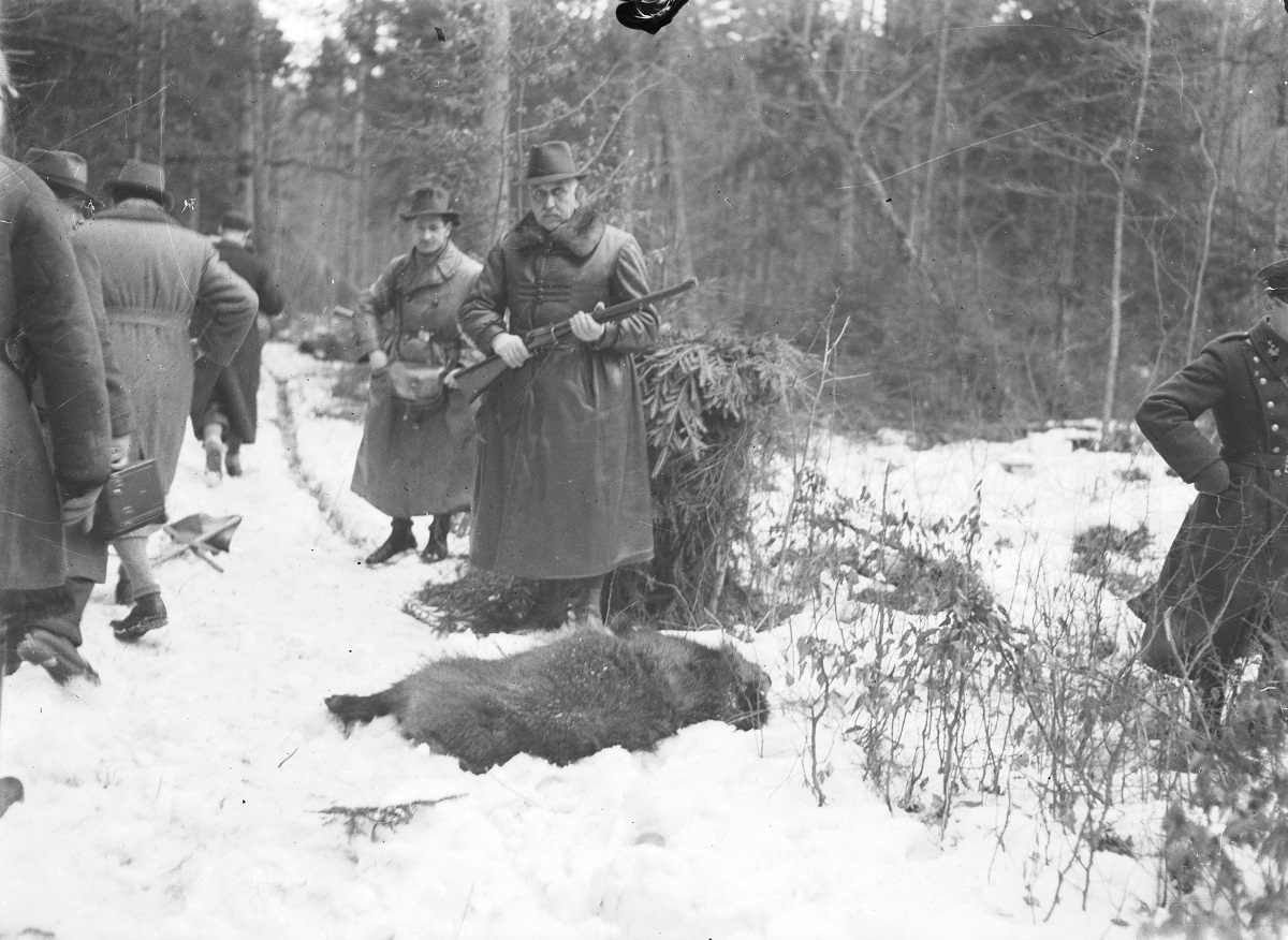 На паляванні ў Белаежскай пушчы. Люты, 1938 год. З фондаў РАТ. На пярэднім плане - прэзідэнт Польшчы Ігнацы Масціцкі. Крыніца: Narodowe Archiwum Cyfrowe